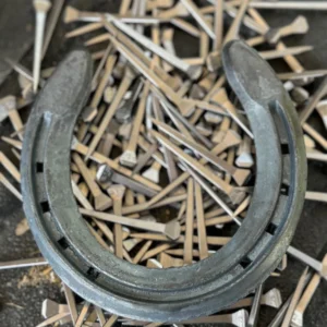 horse shoe closeup